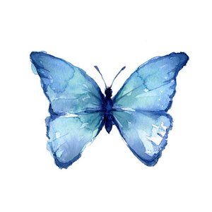 Meet your Posher, Brandi